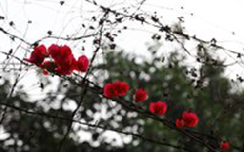 余秋雨情感句子2
