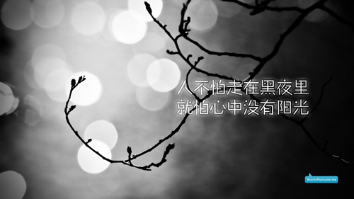 和相亲对象表白的情话
