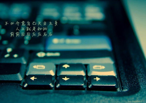 你喜欢一个人咋表白情话