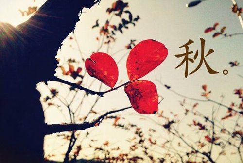 表白套路男友的话