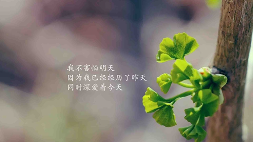 哆啦a梦情人节情话「给老婆晚安土情话」 
