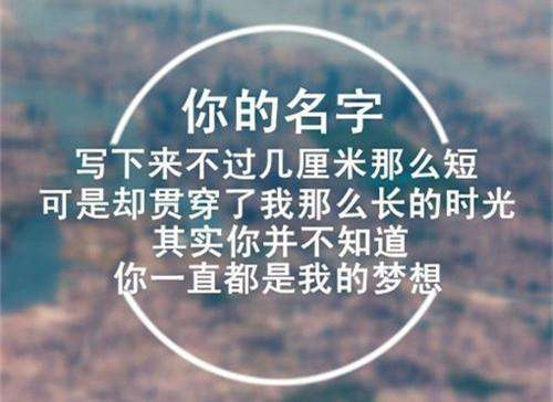 不同的表白句子