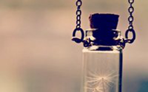 收获的句子说说