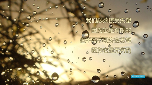 今天求婚成功了吗