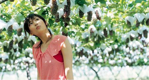 相对女孩表白的句子