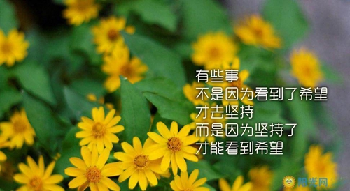 伤心过后的心情短语