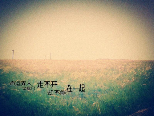 新相亲大会梁鸿刘子昂土味情话