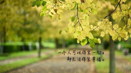 诗经八字情话短句