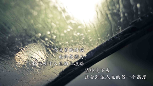 张新成土味情话对谭松韵
