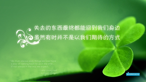海贼王里面的爱情话语