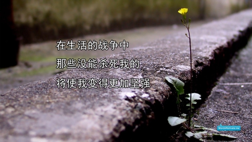 告白情书什么意思