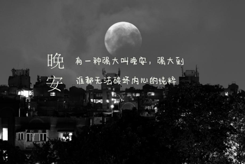 给主播表白的话语