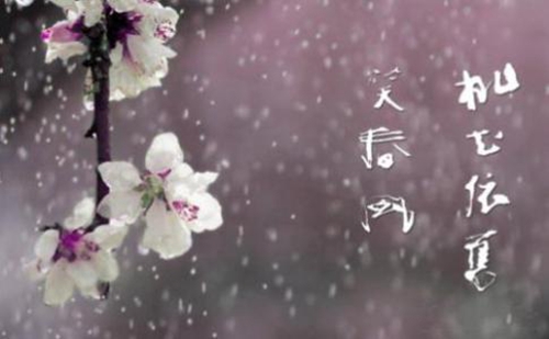 那些让你一眼动心的情话