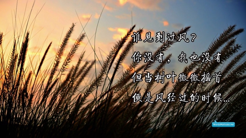 生病的爱情