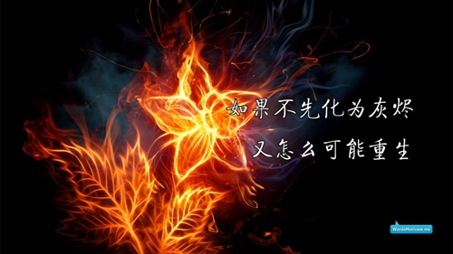 国王英文情话语录（精选20句）
